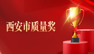 名单揭晓!我市6家组织获第九届“西安市质量奖”