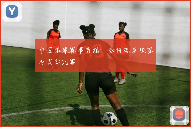 中国排球赛事直播：如何观看联赛与国际比赛
